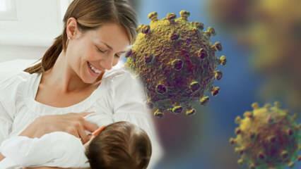 Přenáší koronavirus z mléka na dítě? Pozornost na nastávající matky během procesu pandemie! 