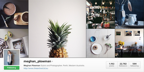 instagramový profil meghan plowman