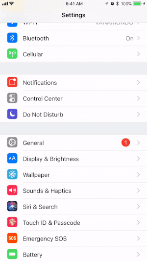 Přidejte funkci Nahrávání obrazovky do Řídicího centra vašeho zařízení iOS.