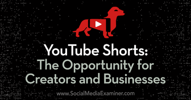 Šortky na YouTube: Příležitost pro autory a firmy: Zkoušející sociálních médií