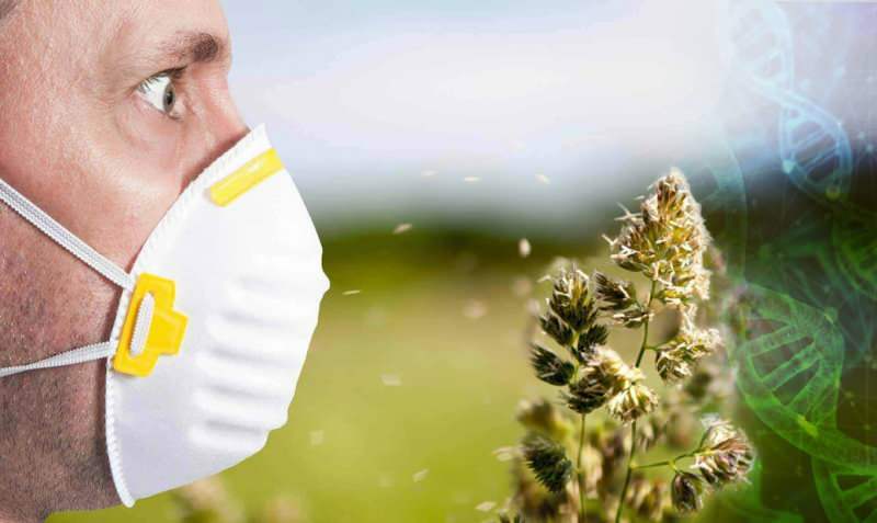 alergie na pyl se zvýšila