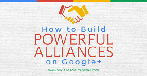 budování aliancí na google +