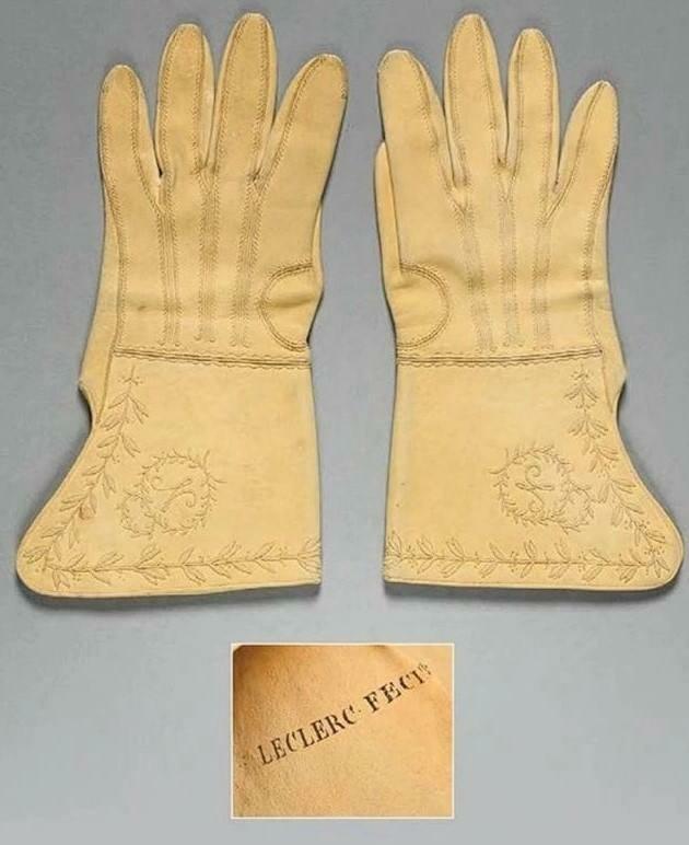 Napoleonova rukavice