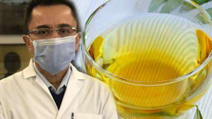 Zázračný čaj proti viru: Jaké jsou výhody čaje z olivových listů? Příprava čaje z olivových listů