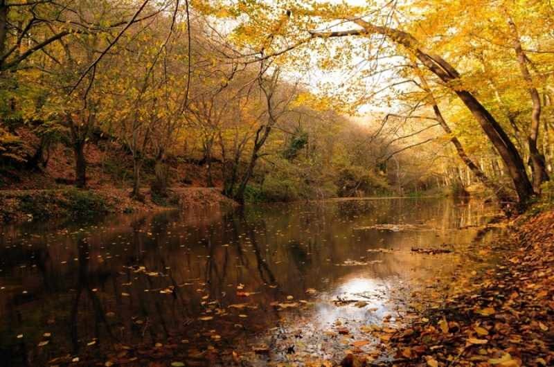 Podzimní túra v bělehradském lese