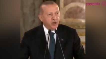 Prezident Erdoğan: Umělci, kteří nalili svou politickou stránku do polemiky, nás rozrušili