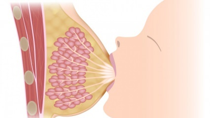 Co je mastitida (zánět prsu)? Příznaky mastitidy a léčba během kojení
