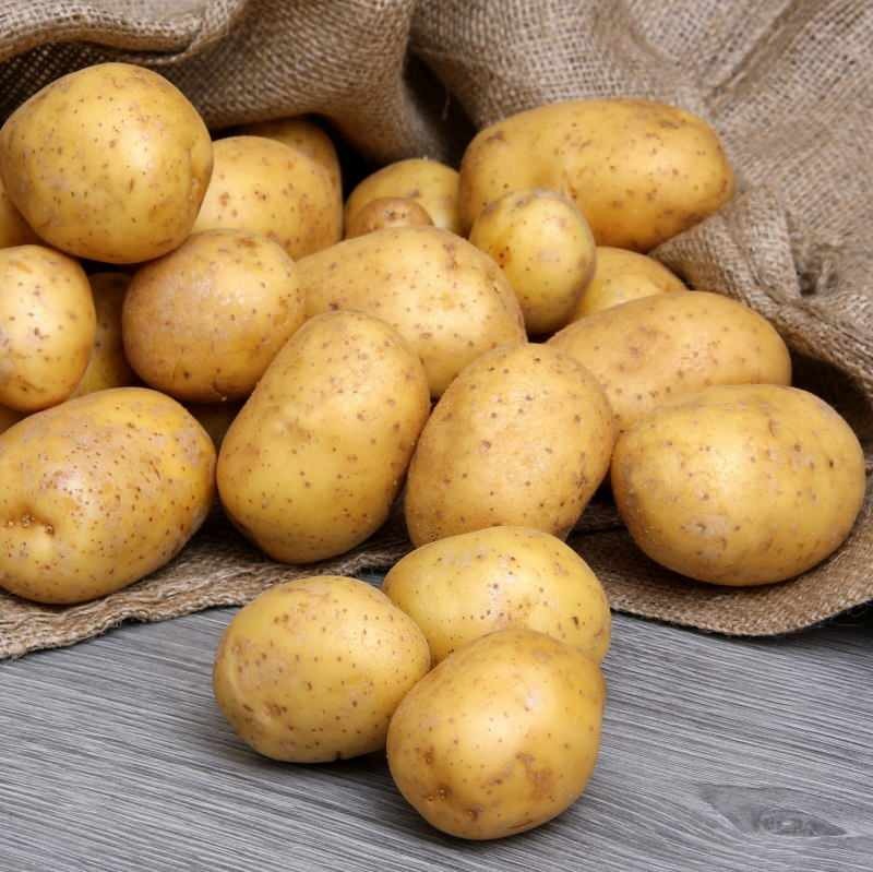 Jaký je rozdíl mezi jedlými bramborami a smaženými bramborami