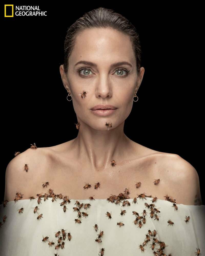 Angelina Jolie v objektivu se včelami pro včely!