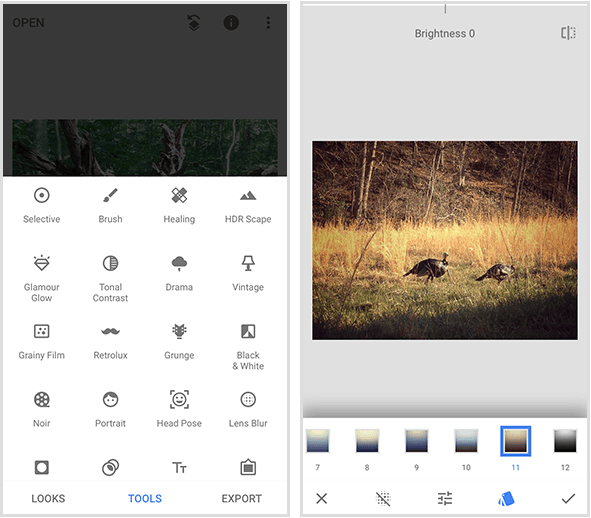 Nabídka Snapseed vlevo zobrazuje 20 různých nástrojů a příklad filtru Snapseed vpravo ukazuje a fotografie dvou divokých krůt kráčejících ve zlaté trávě a nabídky filtrů ve spodní části obrazovky mobilu.