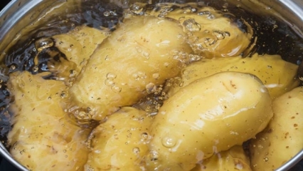 Jak konzumovat syrovou bramborovou šťávu pro hubnutí?