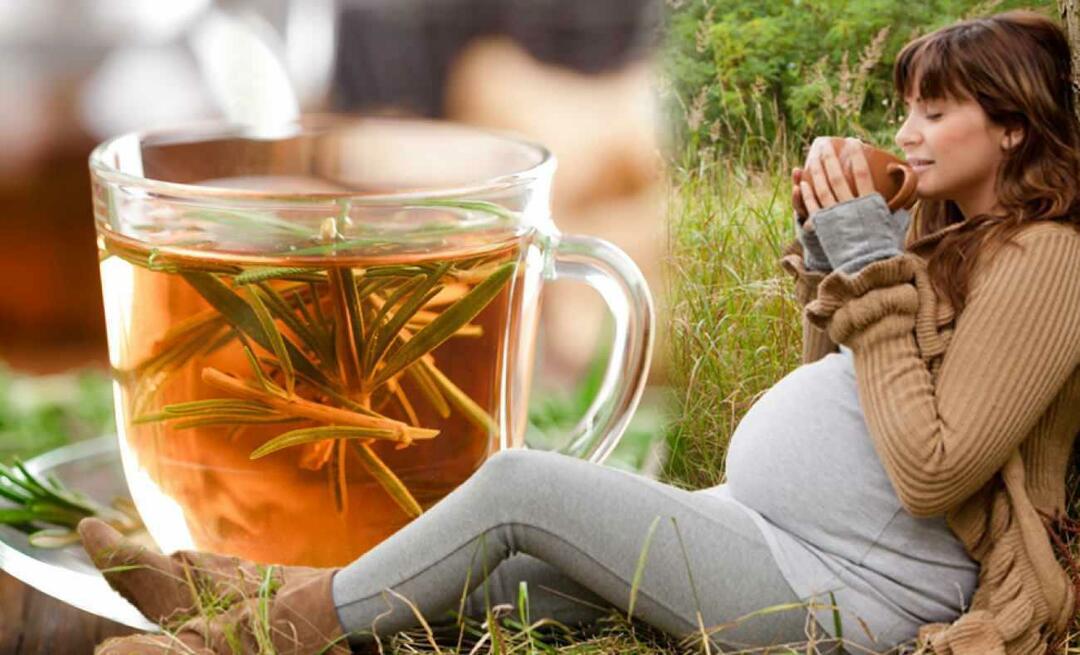 Mohou těhotné ženy pít zimní čaj? Jaký čaj by se měl pít v těhotenství? zimní čaje pro těhotné