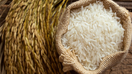 Jak se rozumí tomu nejlepšímu z rýže? 
