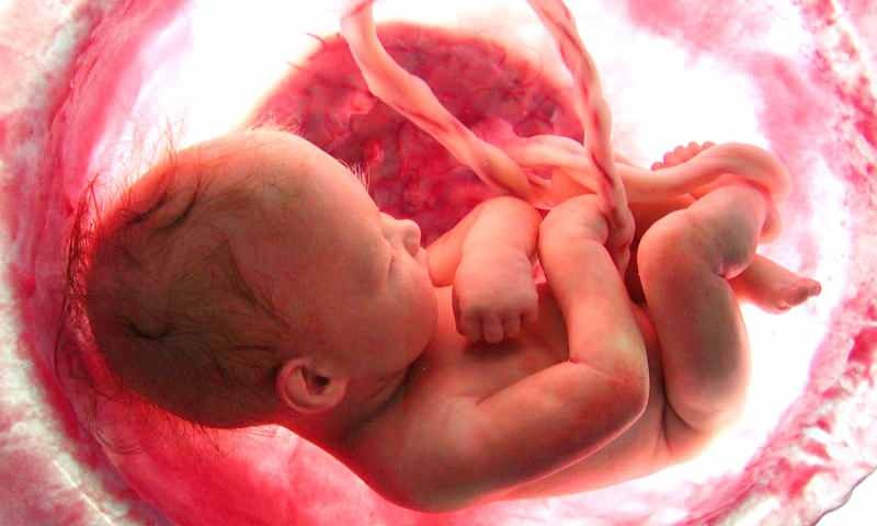 Narození dítěte v děloze