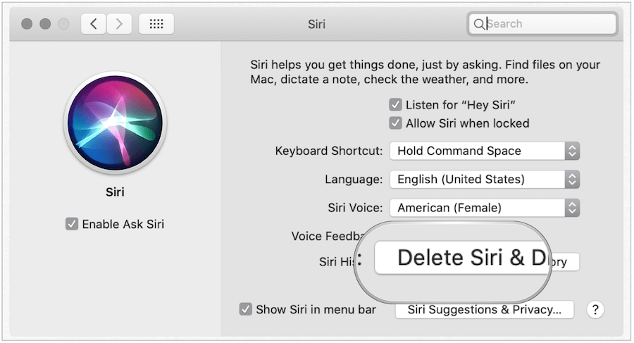 Smažte historii Siri na počítačích Mac