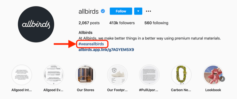 příklad hashtagu společnosti zahrnutý v popisu profilu účtu instagram @allbirds