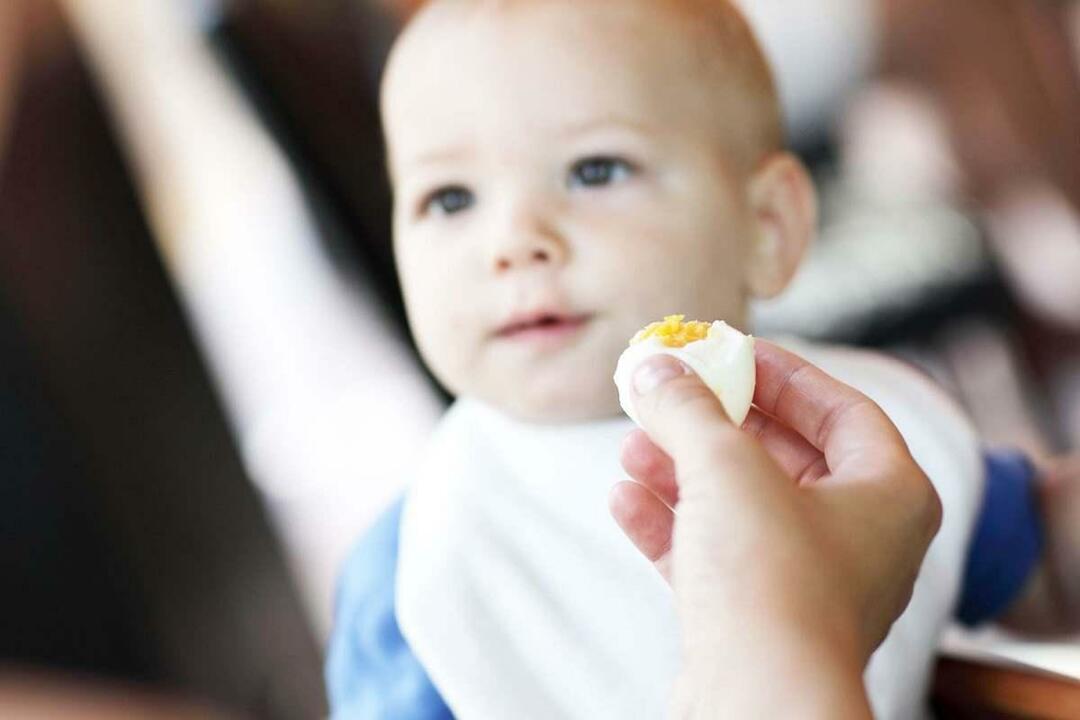 dítě jíst vejce