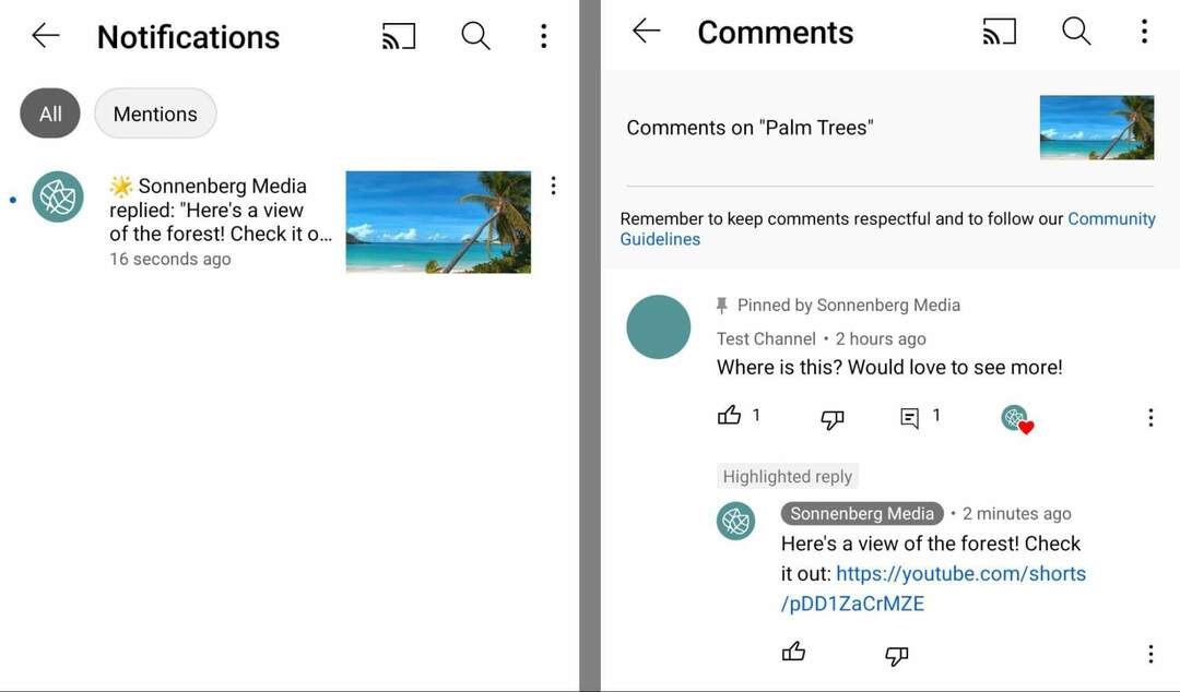 jak-použít-youtube-shorts-commenting feature-to-tag-and-mention-commenters-copy-url-for- short-and-share-in-in-comment-on-original-video-sonnenbergmedia-example-15