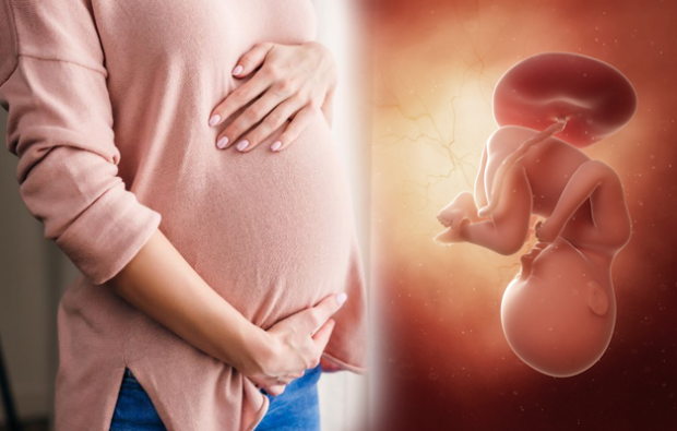 Jaké jsou příznaky těhotenství? Příznaky raného těhotenství