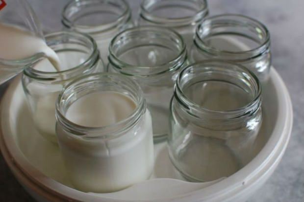 jogurt z venkovského mléka