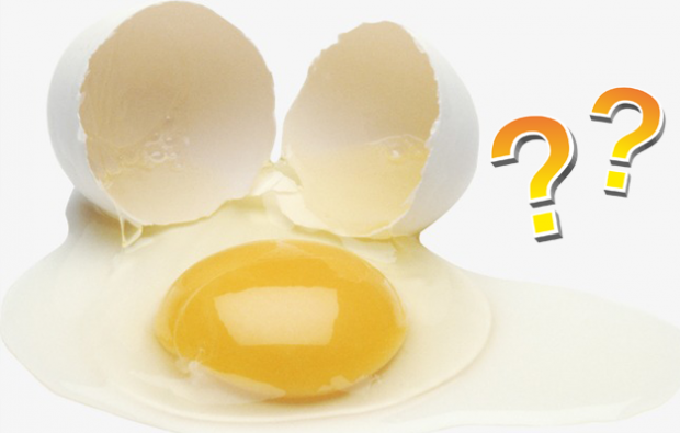 Zda je žloutek nebo bílý vajec prospěšný