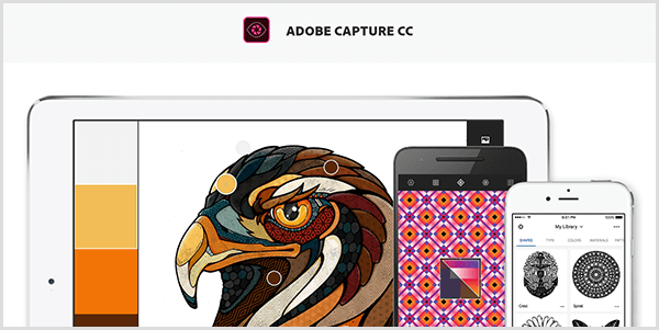 Adobe Capture vytvoří paletu z obrázku, který pořídíte pomocí mobilního zařízení. Web zobrazuje obrázek ptáka a paletu vytvořenou z obrázku, která zahrnuje světle šedou, žlutou, oranžovou a červenohnědou barvu.