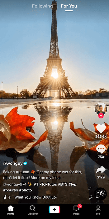 snímek obrazovky příspěvku tiktok od uživatele @ wonguy974 s názvem falešný podzim, ukazující siluetu Eiffelovy věže a slunce za ním s jeho odrazem v louži orámované dvěma padajícími listy na dně obraz