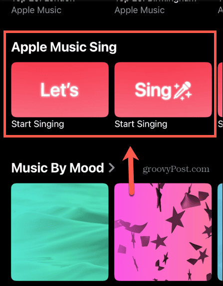 apple music sing sekce