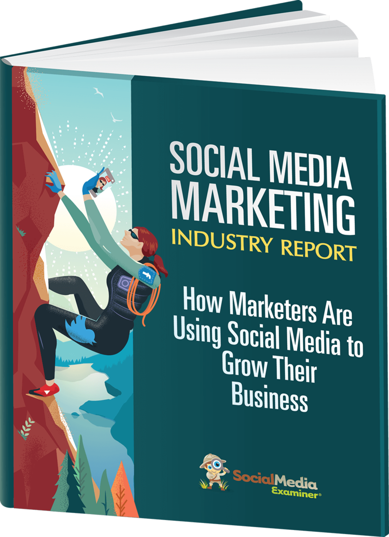 Zpráva o odvětví marketingu sociálních médií za rok 2019.