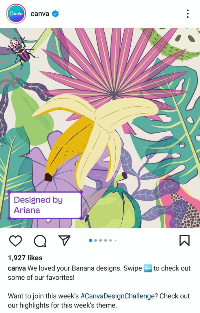 obrázek Instagramu UGC na obchodním profilu