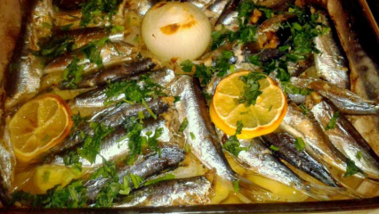 Jak vařit sardinky? Nejjednodušší recept na sardinky