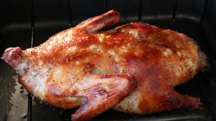 Jaké jsou výhody kachního masa? Které choroby jsou pro kachní maso dobré?