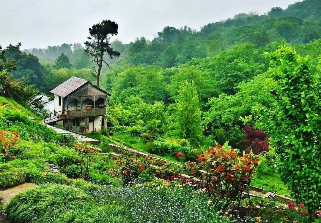 Botanická zahrada Batumi