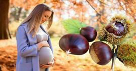 Mohou těhotné ženy jíst kaštany? Výhody konzumace kaštanů během těhotenství pro dítě a matku