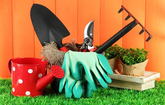 jak čistit zahradu