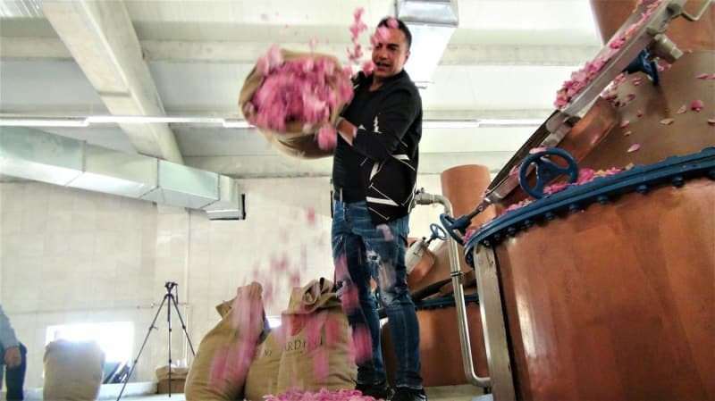 Berdan Mardini založil v jeho rodném městě továrnu na růžový olej!