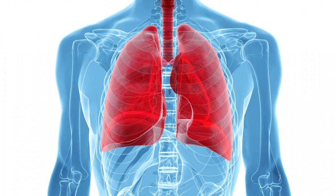 Co je syndrom bílých plic a jaké jsou jeho příznaky? Jaká je léčba syndromu bílých plic?