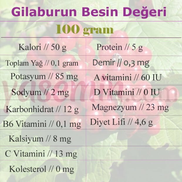 nutriční hodnota gilabur