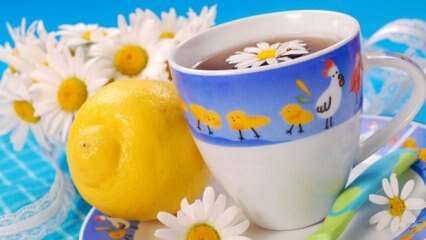 Doporučení bylinného čaje od Saraçoğlu během těhotenství! Je škodlivé pro těhotné ženy pít bylinkový čaj?