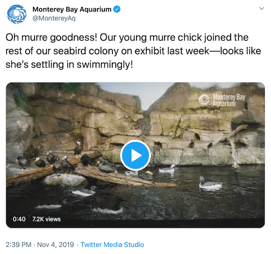 tweet z Monterey Bay Aquarium jako příklad hlasu značky na sociálních médiích