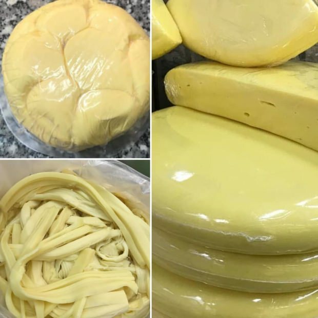 jak se vyrábí sýr kolot
