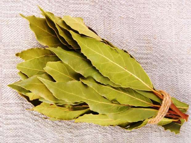 bobkový list se nejčastěji používá v kosmetice