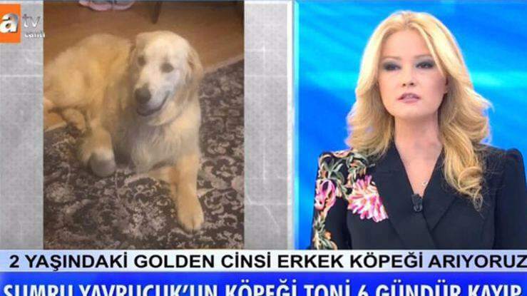 Moderátorka Müge Anlı oznámila: Byl nalezen pes herečky Sumru Yavrucuk ...