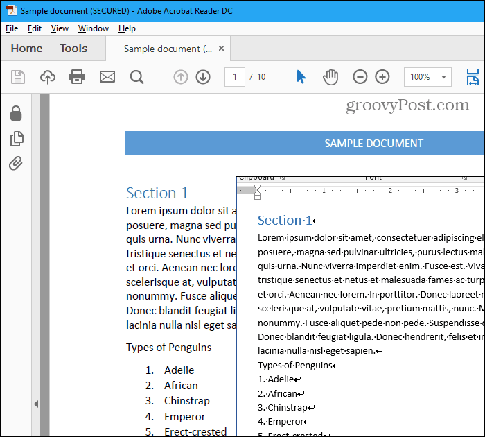 Soubor PDF a soubor Word
