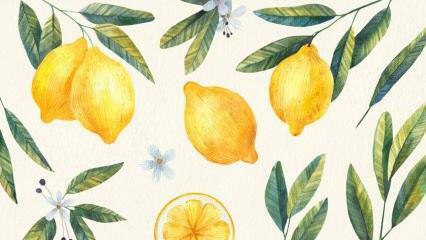 Nejlepší recepty s citronem! Nejjednodušší recept na citronový dezert