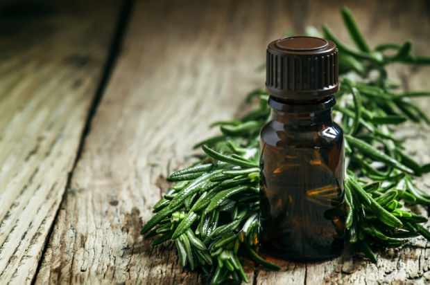 čajovníkový olej se používá k léčbě akné a vad