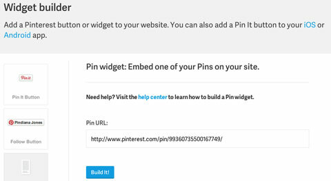 pin widget builder