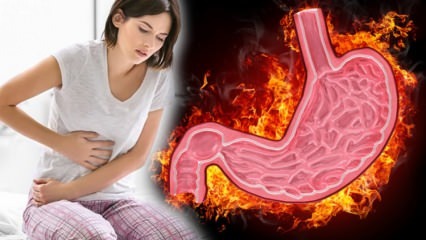 Co je to Gastritida? Jaké jsou příznaky gastritidy a jsou léčeny? Co je dobré pro gastritidu?