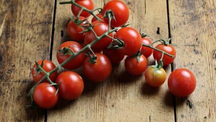 Jak zabránit hnilobě rajčat? Jak zabránit rajským můrům? 