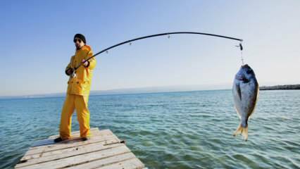 Jak lovit Jaké jsou triky při lovu pomocí rybářského prutu?